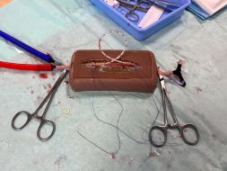 Shunt and Coupler Insertion Task Training Model<